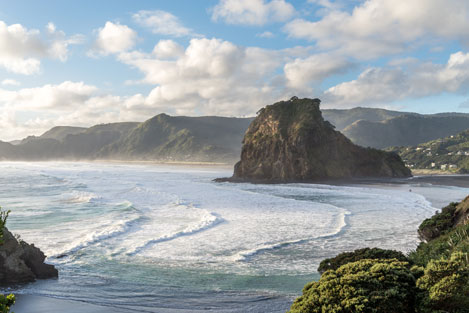 waitakere community